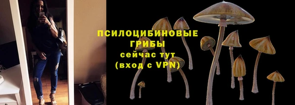 скорость Арсеньев